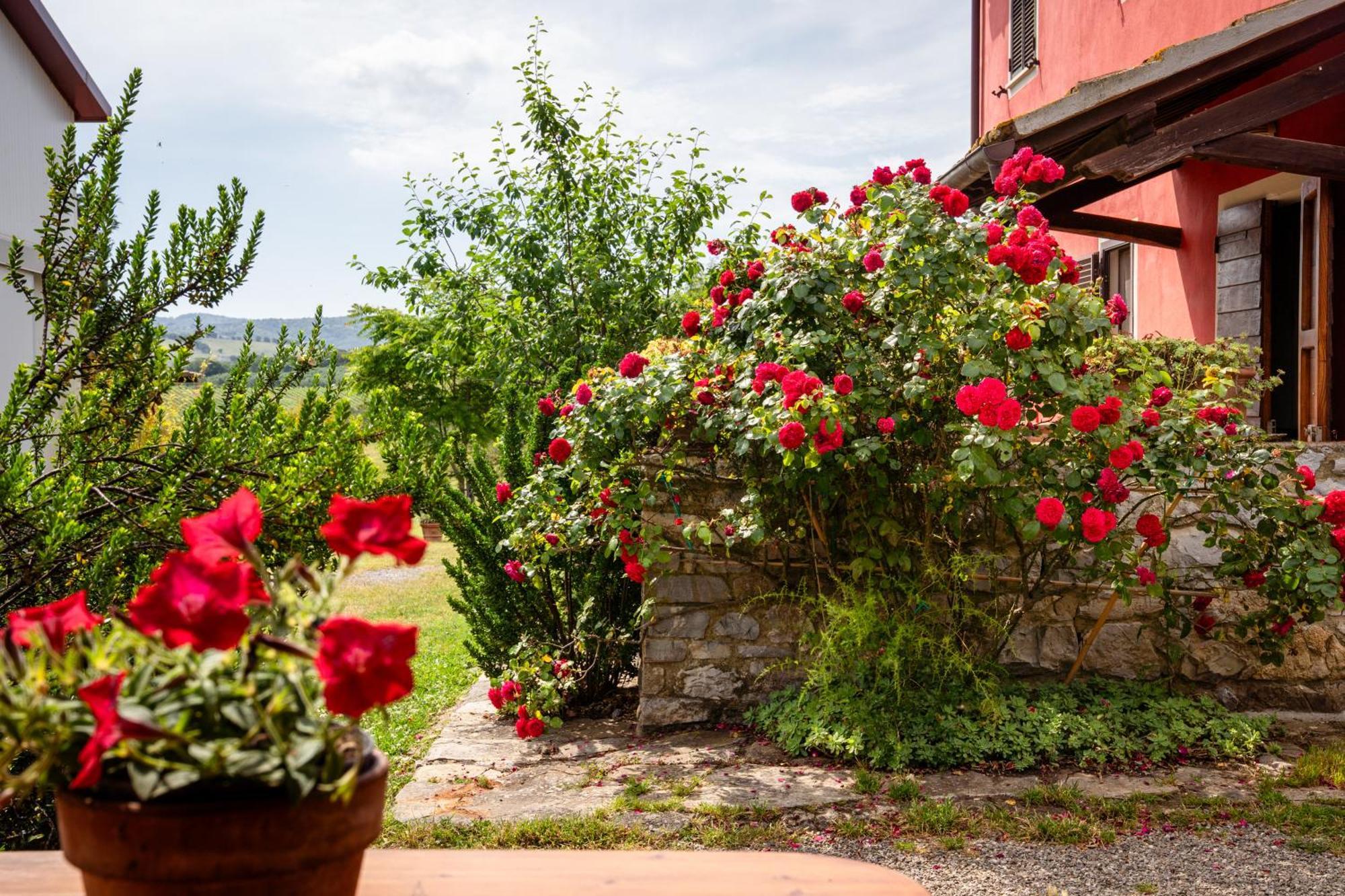 Agriturismo La Carletta Preselle Luaran gambar